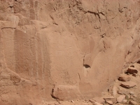 Spiral petroglyphs in Arch Canyon